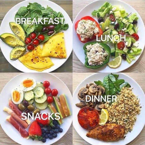 Lowcarb Meals, Easy Nutritious Meals, Everyday Schedule, Living A Healthy Lifestyle, Healthy Lunch Snacks, Live A Healthy Lifestyle, Healthy Food Menu, A Daily Routine, Healthy Food Inspiration