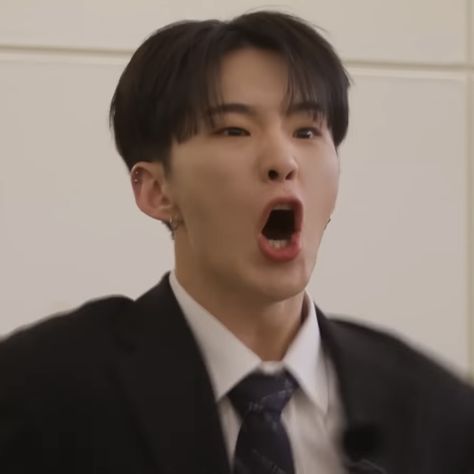 Hoshi Funny Icon, Hoshi Funny Face, Hoshi Memeable Face, Hoshi Cheeks, Seventeen Emoji, Hoshi Funny, School Pov, Svt Funny, Soonyoung Seventeen