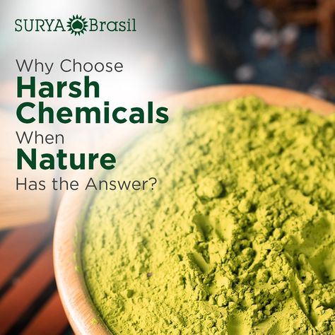 Why settle for harsh chemicals when nature offers a better solution? 🌿✨ At Surya Brasil, we believe in the power of nature to bring out your hair’s natural beauty. Our products are crafted with the finest plant-based ingredients, ensuring a gentle and effective solution for your hair care needs. Join the #TrulyCleanBeauty movement and give your hair the love it deserves with Surya Brasil. 🌿💚 📸 Share your journey with us by tagging @Suryabrasil_usa and using the hashtag #SuryaBrasilUSA. Dis... Power Of Nature, Chemicals, Plant Based, Natural Beauty, Hair Care, Bring It On, Hair, Quick Saves, Beauty