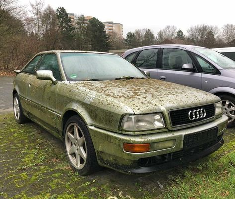 Abandoned Cars in Germany 🇩🇪 on Instagram: “Submission Sunday🇩🇪 ➖➖➖➖➖➖➖➖➖➖➖➖➖➖➖➖➖➖➖➖ Abandoned Audi 80 ➖➖➖➖➖➖➖➖➖➖➖➖➖➖➖➖➖➖➖➖ Found and sent by @tristanmx 📸 Thank you!…” Audi 80, Abandoned Cars, Car Ins, Cars And Motorcycles, Dream Cars, Audi, Motorcycles, Germany, Thank You