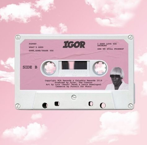 Igor Widget Icons, Pink Music Posters Aesthetic, Tyler The Creator Pink Aesthetic, Igor Widget, The Weeknd Wallpaper Iphone, Tyler The Creator Wallpaper, The Weeknd Poster, Valentine Poster, Pink Laptop