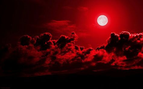 Blood moon sky Red Aesthetic Grunge, Red Images, Red Cloud, Red Moon, Blood Moon, Red Sky, Red Wallpaper, Wallpaper Pictures, Red Aesthetic