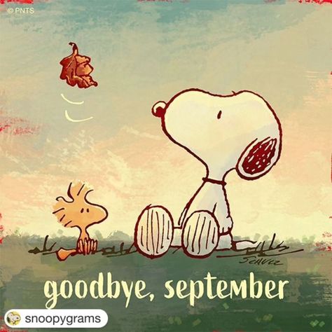 #Repost @snoopygrams with @get.repost ・・・ Goodbye, September! Goodbye September, Funny Good Morning Memes, Morning Memes, Browns Fans, Vintage Thanksgiving, What Day Is It, Peanuts Gang, Cartoon Movies, Hello Spring