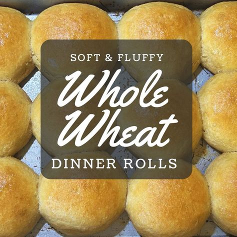 Whole wheat rolls can be soft and fluffy 🥰 Try these out for Thanksgiving this year! Recipe on the blog. Whole Wheat Dinner Rolls Recipe, Wheat Dinner Rolls Recipe, Whole Wheat Dinner Rolls, Wheat Dinner Rolls, Wheat Rolls, Milled Flour Recipes, Whole Wheat Rolls, Dinner Rolls Recipe, Wheat Berries