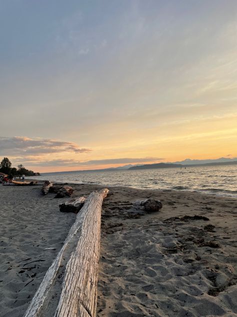 alki beach in seattle facing the water and sunset Seattle Alki Beach, Seattle Beach Aesthetic, Seattle Summer Aesthetic, Gabriel Giordano, Pre Apocalypse, Seattle Vibes, Vancouver Aesthetic, Alki Beach Seattle, Seattle Beach