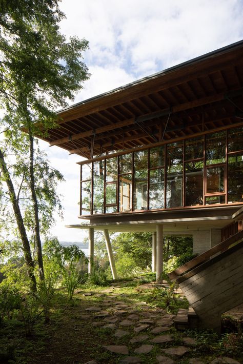 Stilted Apus House by Aguilo + Pedraza peeks through Chilean forest Architecture Unique, House On Stilts, Tropical Architecture, Clerestory Windows, Concrete House, Tropical House, Forest House, Mid Century Modern House, Family House