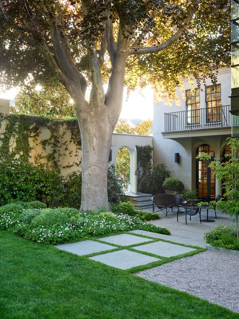 SLLA Landscape Architecture: Portfolio - Heritage Beech Garden Tree In Garden, Drought Tolerant Landscape Design, Tree Homes, Landscape Architecture Portfolio, Japanese Garden Landscape, Gravel Patio, Beach House Exterior, Front Garden Design, Farmhouse Landscaping