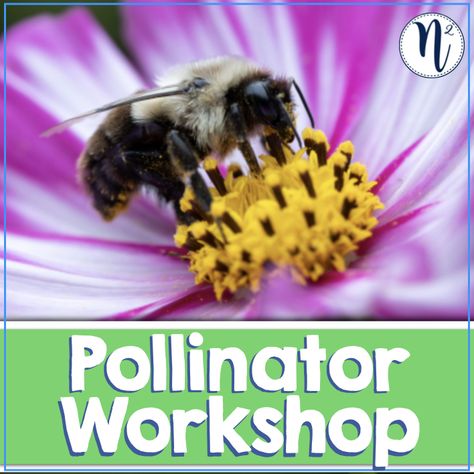 Introduce students to the world of pollinators through engaging stories, scavenger hunts, and hands-on guided activities. Free scavenger hunt included! Scavenger Hunt Printable, Early Elementary Resources, Out In Nature, Scavenger Hunts, About Ideas, Scavenger Hunt, Elementary Schools, In Nature, Nature Inspired