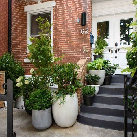 Landscaping With Potted Plants | The Family Handyman Landscaping With Potted Plants, Small Backyard Landscape, Front Yard Landscape Design, Plants For Planters, Tall Potted Plants, Potted Plants Patio, Landscaping Backyard, Front Garden Landscape, Potted Plants Outdoor