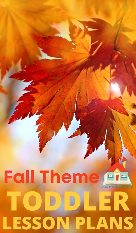 Preschool Leaves Activities, Leaves Preschool, Leaf Lesson Plans, September Preschool Themes, Leaf Craft Ideas, Leaf Lessons, October Lessons, Fall Lesson Plans, Leaf Craft