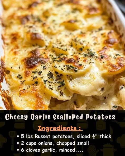 Ingredients: 5 lbs Russet potatoes, sliced ⅛” thick 2 cups onions, chopped small 6 cloves garlic, minced... Potatoes For Christmas, Garlic Scalloped Potatoes, Garlic Potatoes Recipe, Scallop Potatoes, Garlic Potatoes, Onion Recipes, Scalloped Potatoes, Sliced Potatoes, Russet Potatoes