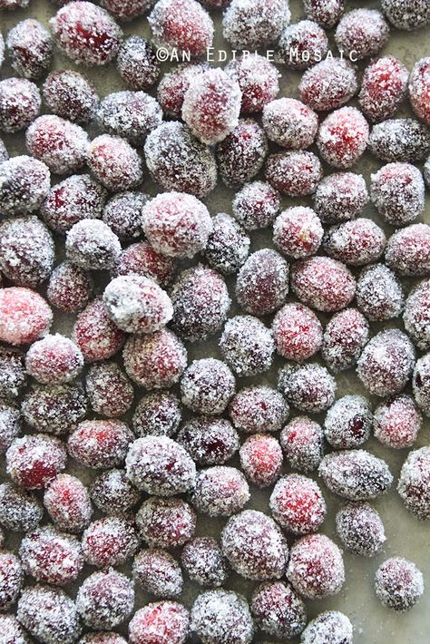 Baked Cranberries With Powdered Sugar, Nye Dinner, Simple Sugar Syrup, Candied Cranberries, Boozy Cupcakes, Fruit Ideas, Christmas Salads, Cake Filling, Cranberry Vodka