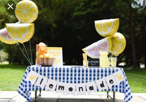 Lemonade Stand Banner, Lemonade Party Decorations, Kids Lemonade Stands, Lemonade Stand Sign, Lemonade Stand Party, Kids Lemonade, Diy Lemonade, Lemonade Stands, Pink Lemonade Party