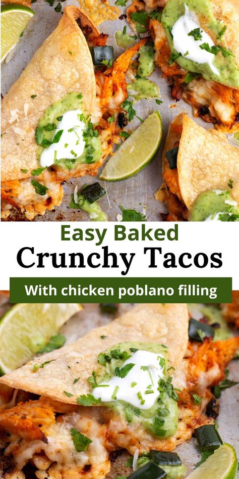 Make dinner a breeze with these easy crunchy baked chicken tacos! Stuffed with seasoned chicken breast, poblanos, and onions, then topped with gooey cheese, these tacos are baked to crispy perfection in the oven. Perfect for a quick and delicious weeknight dinner! Crispy Pablo Chicken Tacos, Chicken Poblano Tacos, Baked Crunchy Tacos, Poblano Chicken Tacos, Baked Crispy Chicken Tacos, Baked Chicken Tacos Oven, Crispy Chicken Tacos Oven Baked, Baked Crunchy Chicken, Baked Chicken Tacos Recipe