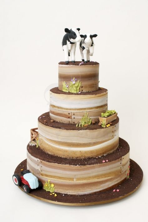 Nyc Cake, Tractor Cake, Cow Cakes, Country Wedding Cakes, Cake Girl, Fabulous Cakes, Farm Cake, Themed Wedding Cakes, Gorgeous Cakes