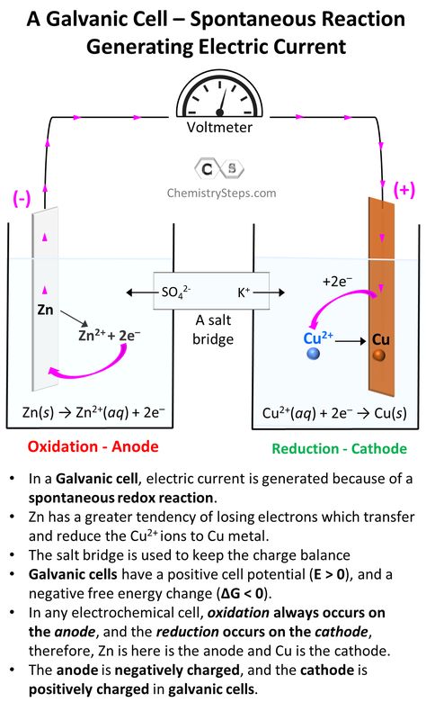 In a Galvanic cell, electric current is generated because of a spontaneous redox reaction. Zn has a greater tendency of losing electrons which transfer and reduce the Cu2+ ions to Cu metal. Galvanic cells have a positive cell potential (E > 0), and a negative free energy change (ΔG < 0). In any electrochemical cell, oxidation always occurs on the anode, and the reduction occurs on the cathode. The anode is negatively charged, and the cathode is positively charged. Electricity Basics, Gen Chem, Galvanic Cell, Electrochemical Cell, General Chemistry, Redox Reactions, Chemistry Basics, Chemistry Classroom, 8th Grade Science