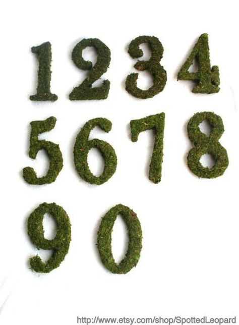 Moss Covered 6 Inch with stand Wedding party Table Reception Table Numbers Table Numbers Ideas, Moss Runner, Bayou Wedding, Entree Ideas, Moss Table, Reception Table Numbers, Autumnal Wedding, Wedding Doors, Country Table