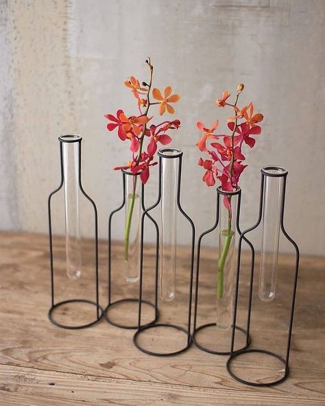 Produkt Hunter on Instagram: “#produkthunter Minimalist Wire Bottle Vases Via 👉 @product.daily . 🙂Tag a friend who would like these!” Wire Vase, Urban Farmhouse Designs, Farmhouse Side Table, Cute Dorm Rooms, Table Vase, Table Vases, Easy Home Decor, Cheap Decor, Rustic Wedding Decor