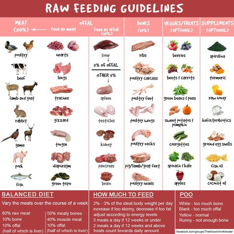 Raw dog food guidance chart Cane Corso Raw Diet, Raw Feeding Cats, Raw Dog Food Meal Prep, Raw Fed Dogs, Dog Raw Diet, Raw Feeding For Dogs, Raw Dog Food Diet, Raw Pet Food, Diy Dog Food