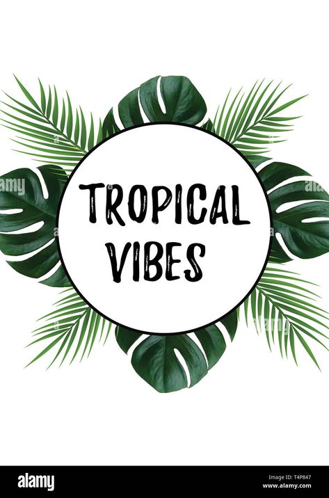 Download this stock image: Tropical vibes with monstera plants border. Vacation quotes. Beach holidays. - T4P847 from Alamy's library of millions of high resolution stock photos, illustrations and vectors. Vacation Quotes Beach, Quotes To Print, Plant Quotes, Monstera Plants, Random Vibes, Plants Quotes, Vacation Quotes, Beach Holidays, Monstera Plant