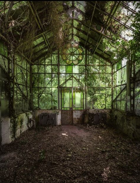 Apocalypse Aesthetic, Creepy Pasta, Aesthetic Nature, Photo Projects, Nature Aesthetic, Pretty Places, Green Aesthetic, Fantasy Landscape, Abandoned Places