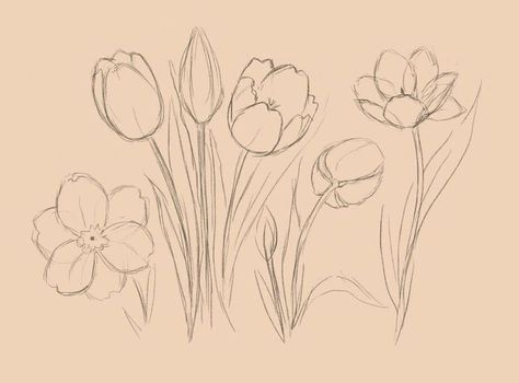 Tulip Drawing, Flower Drawing Tutorials, Flower Art Drawing, 강아지 그림, Flower Sketches, 수채화 그림, Arte Sketchbook, Arte Inspo, Mini Drawings