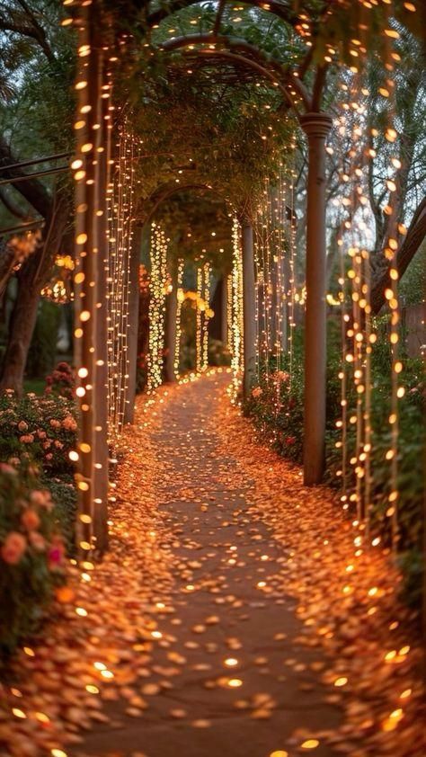 Fall Lights Wallpaper, Wedding Trees With Lights, August Garden Wedding, Places To Propose Ideas, Fall Wedding Aesthetic Ideas, Fairytail Wedding Decorations, Wedding Ideas Reception Decoration, Wedding Venue Fairy Lights, Private Proposal Ideas Romantic