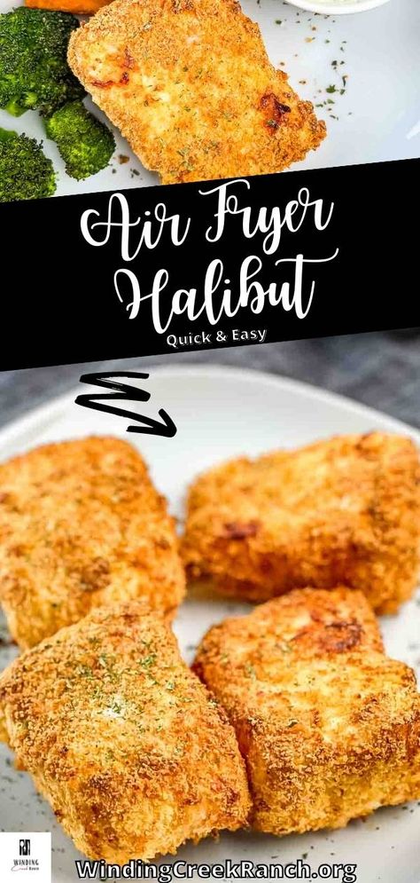 Air Fryer Halibut with Crispy Parmesan Crust Breaded Halibut In Air Fryer, Halibut Bites Air Fryer, Best Halibut Recipes Air Fryer, Air Fried Halibut, Airfry Halibut Recipes, Pacific Halibut Recipe, Air Fry Halibut, Breaded Halibut Recipes, Parmesan Crusted Cod Air Fryer