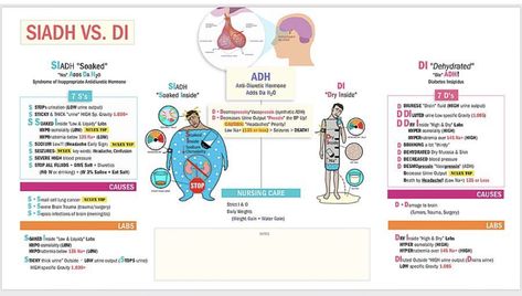 Siadh Vs. Di, Di Vs Siadh Nursing, Siadh Vs Di, Siadh Nursing, Endocrine Nursing, Med Math, Nclex Notes, Endocrine System Nursing, Simple Nursing