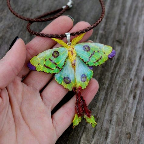 Luna moth pendant, the stylish jewelry for her Etsy Crystals, Polymer Clay Kunst, Moth Pendant, Moth Necklace, Necklace Polymer Clay, Luna Moth, Polymer Clay Necklace, Polymer Clay Pendant, Green Jewelry