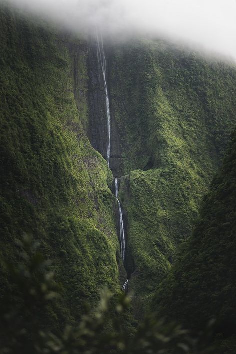 France Nature, Waterfall Island, Reunion Island, Island Travel, Vancouver Canada, Travel Inspo, Scenic Views, The Earth, Just Love