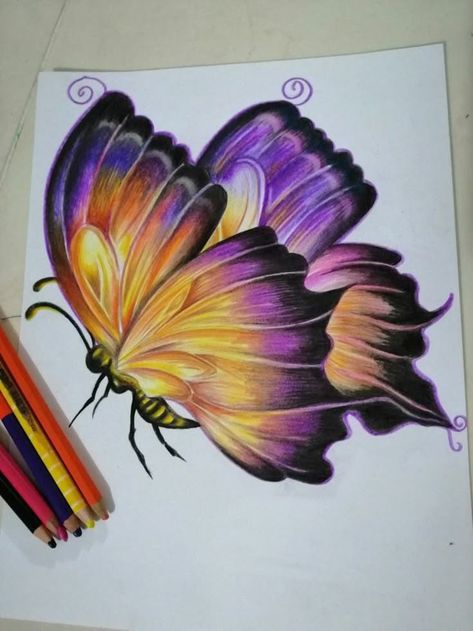 Butterfly With Pencil Colour, Color Pencils Sketch, Abstract Colour Pencil Drawings, Butterfly Pencil Color, Aesthetic Colour Pencil Art, Color Pencil Butterfly, Colored Pencil Butterfly, Colour Pencil Drawing Easy, Draw Sea Animals