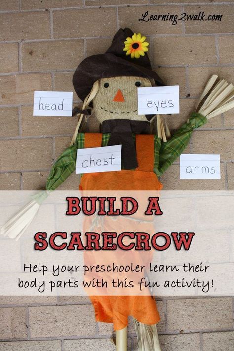 Use this scarecrow preschool theme to identify parts of the body. Scarecrow Preschool, Scarecrow Activities, Build A Scarecrow, November Lesson Plans, Autumn Preschool Theme, Fun Activities For Preschoolers, Farm Theme Preschool, Fall Preschool Activities, Preschool Lesson Plan