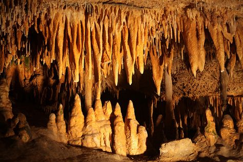 Rocky Rex's Science Stuff: Caves, Stalactites and Stalagmites Mother Of Divine Grace, Stalactites And Stalagmites, Luray Caverns, Earth Materials, Pier Paolo Pasolini, Rock Textures, Greek Words, Rock Crafts, Earth Science