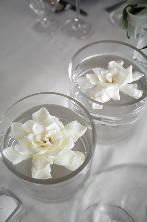 White Tablescape ● Floral Centerpiece ● Fresh gardenias float in low round vases # Neutral Wedding ... Wedding ideas for brides, grooms, parents & planners ... https://itunes.apple.com/us/app/the-gold-wedding-planner/id498112599?ls=1=8 … plus how to organise an entire wedding ♥ The Gold Wedding Planner iPhone App ♥ Gardenia Wedding, Round Vases, Colin Cowie Wedding, Home Floral Arrangements, Flower Meanings, Round Vase, Floating Flowers, Neutral Wedding, Wedding Pics