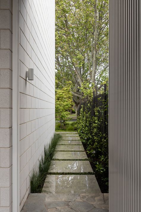 Seymour House by Lani Fixler Studio - Issue 08 Feature - The Local Project - The Local Project Side Yard Landscaping, Wardrobe Door Designs, Australian Garden, Street House, The Local Project, Magical Garden, Outdoor Backyard, Side Yard, Local Design