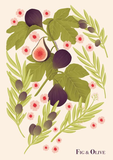 Fig Branch Illustration, Fig Tree Illustration, Figs Illustration, Olive Tree Illustration, Olive Branch Illustration, Fig Illustration, Fig Tattoo, Olive Illustration, Fig Art