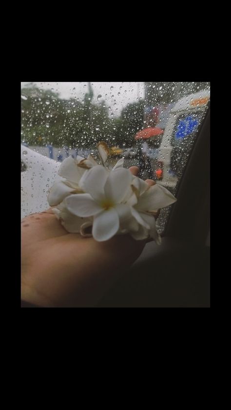 Rain Flowers Aesthetic, Raining Flowers, Iphone Mirror Selfie, Nature Photography Quotes, Dark Beauty Photography, Snap Streak Ideas Easy, Iphone Wallpaper Classy, Easy Love Drawings, Flowers Instagram