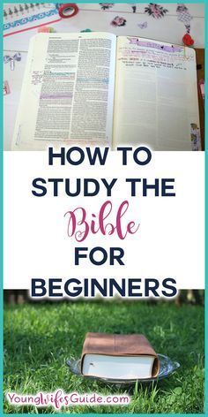 Study The Bible For Beginners, Bible For Beginners, Studying The Bible, Bible Studies For Beginners, Learn The Bible, Study The Bible, Bible Study Help, Study Resources, Bible Study Plans