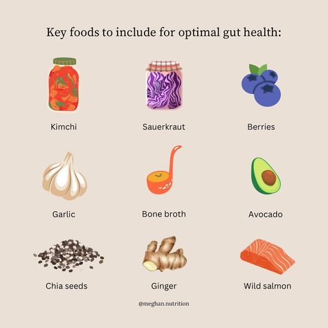 “All disease begins in the gut” - Hippocrates Digestive health is vital for many functions in the body, including immunity, mood, skin health and more. Here are some foods to include on a regular basis to keep our digestive system working optimally: Kimchi & Sauerkraut - great source of probiotics, which restore the natural balance of bacteria in our gut. Berries - antioxidants, anti inflammatory and a great source of fibre, promoting healthy and regular bowel movements. Garlic - prebio... Sources Of Probiotics, Regular Bowel Movements, Bowel Movement, Natural Balance, Sources Of Fiber, Digestive System, Digestive Health, Kimchi, Skin Health