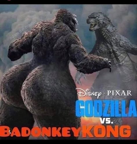 Godzilla And Kong, Funny Pix, Crazy Funny Pictures, Goofy Pictures, Very Funny Pictures, Funny Profile Pictures, Silly Pictures, Funny Reaction Pictures, Instagram Funny