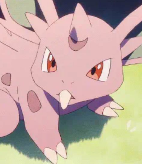 Nidoran Pokemon Art, Nidoran Pokemon, Pokemon Tumblr, Pokemon Masters, Pokémon Team, Childhood Dream, Pokemon Oc, Pokemon Collection, Pokemon Teams