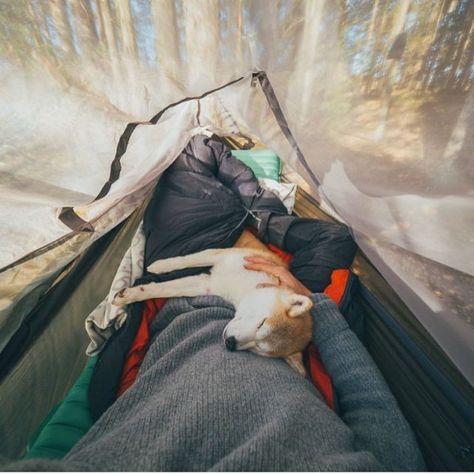 Especially with my dog!! Regard Animal, Camping Bedarf, Camping Desserts, 밈 유머, Hiking Dogs, Dog Adventure, Camping Backpack, Camping Life, Camping And Hiking