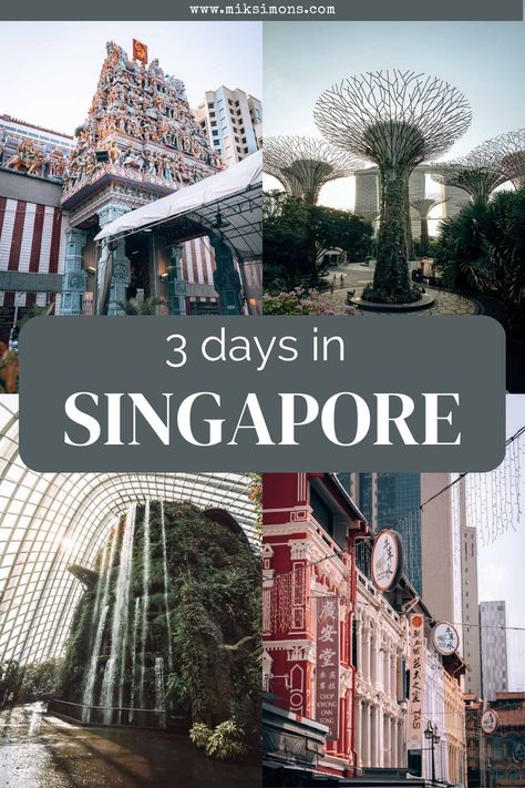 Newly Dating, Singapore Things To Do, Singapore Vacation, Singapore Travel Tips, Singapore Guide, Holiday In Singapore, Singapore Itinerary, Things To Do In Singapore, Visit Singapore