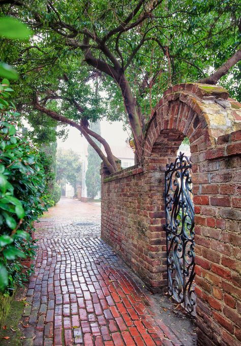 Brick Wall Architecture, Victorian Fence, Charleston Gates, Brick Wall Gardens, Wall Gardens, Wrought Iron Garden Gates, Horse Clothing, Brick Archway, Brick Arch