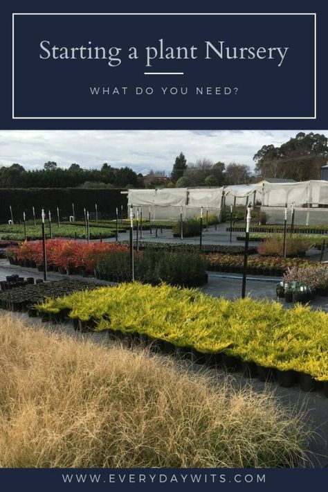 Plant Nursery Layout Plan, How To Start A Plant Nursery, Starting A Plant Nursery Business, Nursery Business Ideas, Green House Business, Greenhouse Nursery Business, Nursery Plants Ideas, Nursery Plants Greenhouses, Backyard Nursery Business