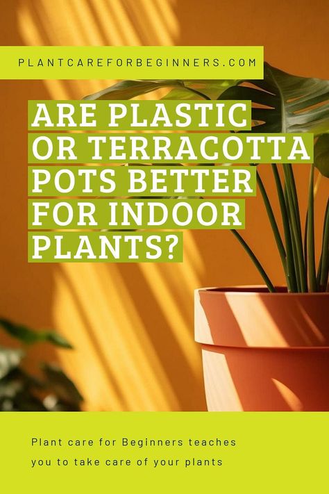 Unsure of which type of pot to use when you're re-potting your houseplants? Here at Plant Care for Beginners, we'll help you figure out the pros and cons of plastic and terracotta pots, so that your plant can get the right home makeover! Plant Guide, Home Makeover, Root Growth, Plant Roots, Plastic Pots, Terracotta Pots, Clay Pots, Pros And Cons, Tropical Plants