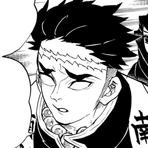 Gyomei Manga, Gyomei Himejima, Manga Icon, Dragon Ball Super Manga, Girly Art Illustrations, Cute Memes, Tiny Flowers, Kimetsu No Yaiba, Girly Art