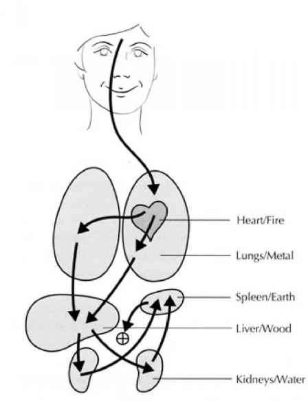 Part Ii Training Program Chi Nei Tsang, Japanese Medicine, Acupuncture Points Chart, Medical Qigong, Full Body Massage Techniques, Meridian Energy, Chi Kung, Medicine Book, Heaven And Earth