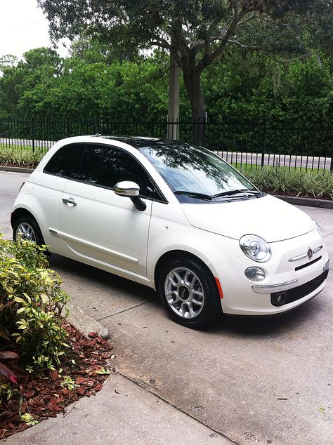 My new Fiat 500 Flat 500 Car, White Fiat 500, Fiat 500 White, Fiat 500 S, Fiat 500 Sport, Fiat 500 Car, Door Moulding, Fiat 500 Lounge, Fiat 500c